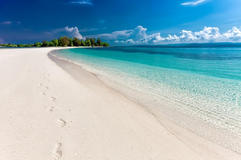Footprints in the sand